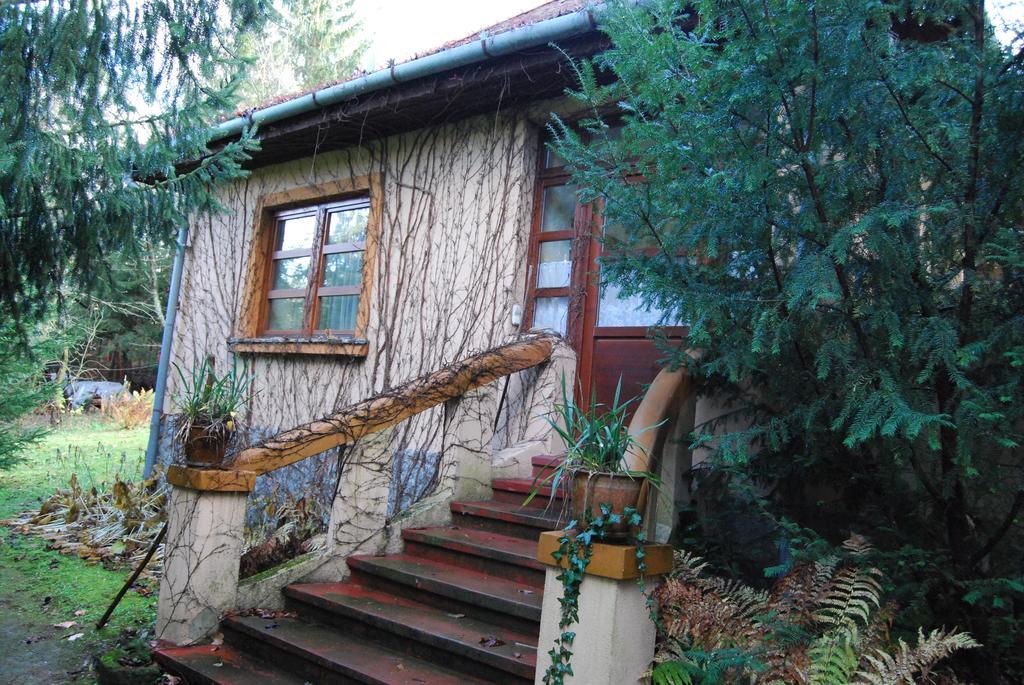 Boroka Apartmanhazak - Oereghaz فيليم الغرفة الصورة